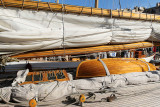 1759  Voiles de Saint-Tropez 2013 -  MK3_1482 DxO Photo Patrick Debetencourt.jpg