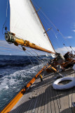 1917  Voiles de Saint-Tropez 2013 -  IMG_0996 DxO Photo Patrick Debetencourt.jpg