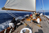 2222  Voiles de Saint-Tropez 2013 -  IMG_1102 DxO Photo Patrick Debetencourt.jpg