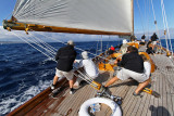 2224  Voiles de Saint-Tropez 2013 -  IMG_1103 DxO Photo Patrick Debetencourt.jpg