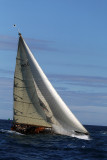 2313  Voiles de Saint-Tropez 2013 -  MK3_1655 DxO Photo Patrick Debetencourt.jpg