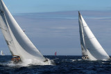 2317  Voiles de Saint-Tropez 2013 -  MK3_1659 DxO Photo Patrick Debetencourt.jpg