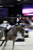 206 Gucci Paris Masters 2013 - IMG_2177 DxO Pbase.jpg