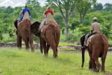 5253 Two weeks in South Africa - MK3_3297_DxO Pbase.jpg