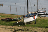 1993 Fetes maritimes de Douarnenez 2014 - MK3_7668_DxO Pbase.jpg