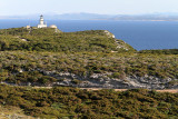 1150 Une semaine en Corse du sud - A week in south Corsica -  IMG_9046_DxO Pbase.jpg