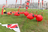 406 Festival International de cerf volant de Dieppe 2014 -  IMG_2982_DxO Pbase.jpg