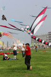 603 Festival International de cerf volant de Dieppe 2014 -  MK3_8912_DxO Pbase.jpg