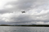 1207 Mauritius island - Ile Maurice 2014 - IMG_5644_DxO Pbase.jpg