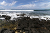 1327 Mauritius island - Ile Maurice 2014 - IMG_5770_DxO Pbase.jpg