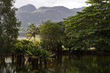1553 Mauritius island - Ile Maurice 2014 - IMG_5997_DxO Pbase.jpg