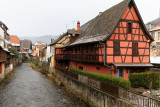 1273 Saint Sylvestre 2015 en Alsace - IMG_7738_DxO Pbase.jpg