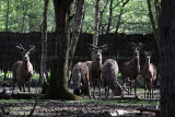 41 Espace Rambouillet avril 2015  - IMG_0934_DxO Pbase.jpg