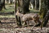 170 Espace Rambouillet avril 2015  - IMG_1161_DxO Pbase.jpg