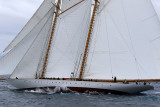 6951 Voiles de Saint-Tropez 2015 - IMG_3306_DxO Pbase.jpg