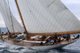 7078 Voiles de Saint-Tropez 2015 - IMG_3435_DxO Pbase.jpg