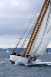 7167 Voiles de Saint-Tropez 2015 - IMG_3515_DxO Pbase.jpg