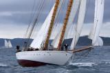 7103 Voiles de Saint-Tropez 2015 - IMG_3450_DxO Pbase.jpg