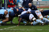 24 Rugby Racing 92 vs Scarlets au stade Yves du Manoir - IMG_4830_DxO optimise Pbase.jpg