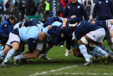 27 Rugby Racing 92 vs Scarlets au stade Yves du Manoir - IMG_4833_DxO optimise Pbase.jpg