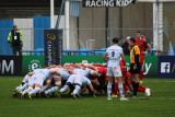 47 Rugby Racing 92 vs Scarlets au stade Yves du Manoir - IMG_4853_DxO optimise Pbase.jpg