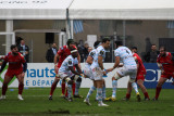 122 Rugby Racing 92 vs Scarlets au stade Yves du Manoir - IMG_4930_DxO optimise Pbase.jpg