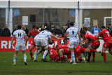 135 Rugby Racing 92 vs Scarlets au stade Yves du Manoir - IMG_4943_DxO optimise Pbase.jpg