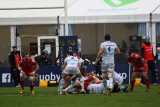 139 Rugby Racing 92 vs Scarlets au stade Yves du Manoir - IMG_4947_DxO optimise Pbase.jpg