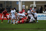 157 Rugby Racing 92 vs Scarlets au stade Yves du Manoir - IMG_4965_DxO optimise Pbase.jpg