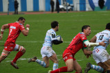170 Rugby Racing 92 vs Scarlets au stade Yves du Manoir - IMG_4978_DxO optimise Pbase.jpg