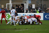 277 Rugby Racing 92 vs Scarlets au stade Yves du Manoir - IMG_5085_DxO optimise Pbase.jpg