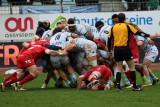 380 Rugby Racing 92 vs Scarlets au stade Yves du Manoir - IMG_5195_DxO optimise Pbase.jpg