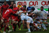 468 Rugby Racing 92 vs Scarlets au stade Yves du Manoir - IMG_5284_DxO optimise Pbase.jpg
