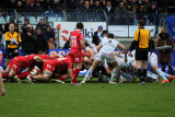 537 Rugby Racing 92 vs Scarlets au stade Yves du Manoir - IMG_5353_DxO optimise Pbase.jpg