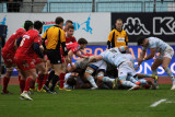 559 Rugby Racing 92 vs Scarlets au stade Yves du Manoir - IMG_5375_DxO optimise Pbase.jpg