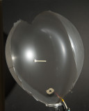 Balloon 4407.jpg