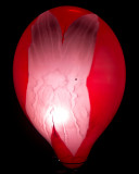 Balloon HS backlit 0585.jpg