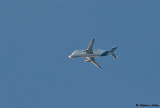 Airbus A300-608ST Beluga (Dolphin 2)