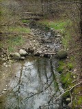 Spring, Rowntree Mills Park, Toronto, Ontario