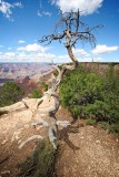 South Rim, Grand Canyon, Arizona