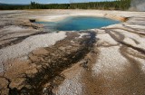 Cyanobacterial Mats, Yellowstone National Park