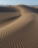 Desert tracks