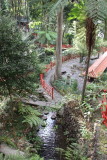 Madeira - Monte Palace garden- Japanese garden