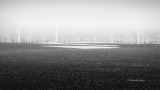 DSC_2934-fog-small.jpg