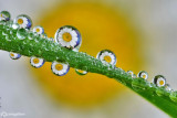 Refraction