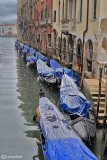 Snow in Venice