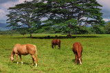 Untitled_Panorama1.jpg