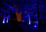 Walkway at Morton Arboretum