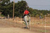 20140913_0573.JPG