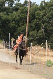 20140913_1954.JPG
